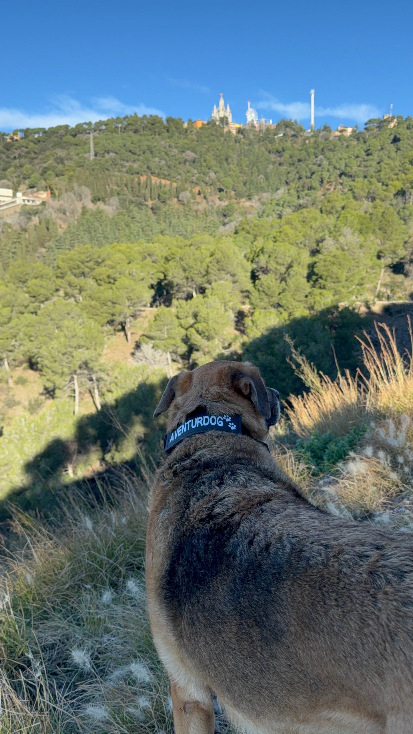 COLLAR AVENTURDOG TRAIL CORE TACTICAL