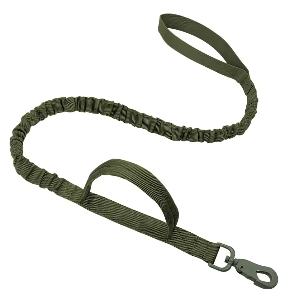 CORREA AVENTURDOG TACTIC