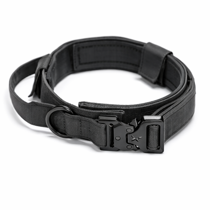 COLLAR AVENTURDOG TRAIL CORE TACTICAL