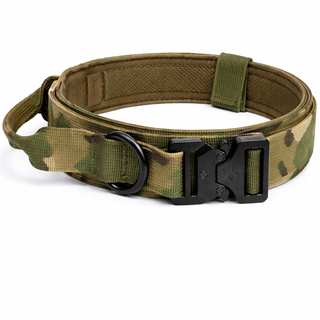COLLAR &CORREA AVENTURDOG TACTIC