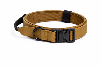 COLLAR &CORREA AVENTURDOG TACTIC