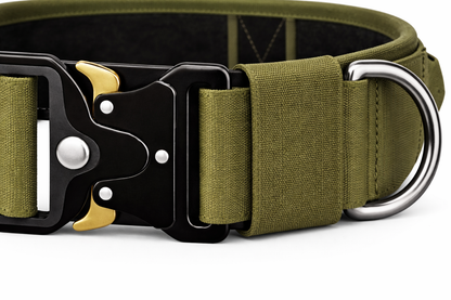 COLLAR AVENTURDOG TRAIL FORCE ELITE