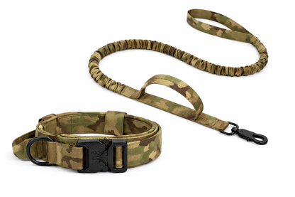 COLLAR &CORREA AVENTURDOG TACTIC