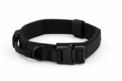 COLLAR AVENTURDOG TRAIL CONTROL PRO