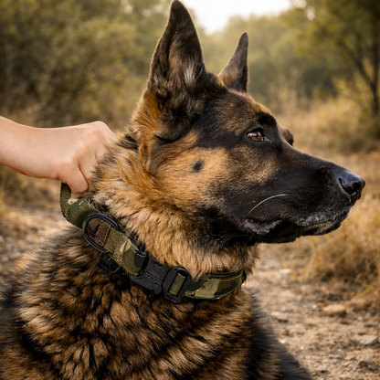 COLLAR AVENTURDOG TRAIL CONTROL PRO