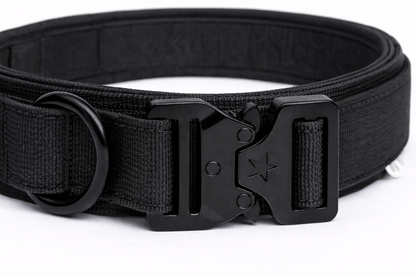 COLLAR &CORREA AVENTURDOG TACTIC