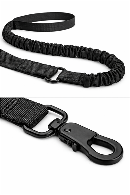 COLLAR &CORREA AVENTURDOG TACTIC