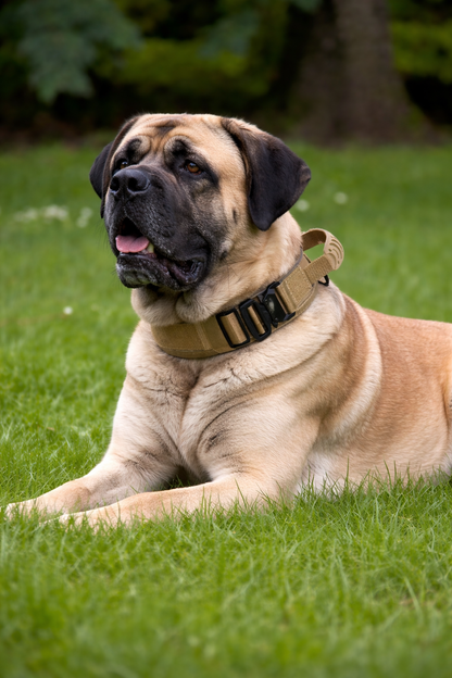 COLLAR AVENTURDOG TRAIL GRIP TACTICAL
