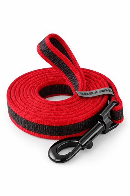 CORREA AVENTURDOG ADIESTRAMIENTO
