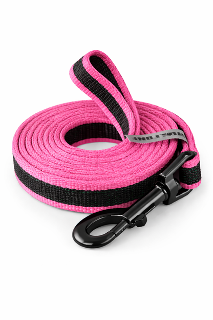 CORREA AVENTURDOG ADIESTRAMIENTO