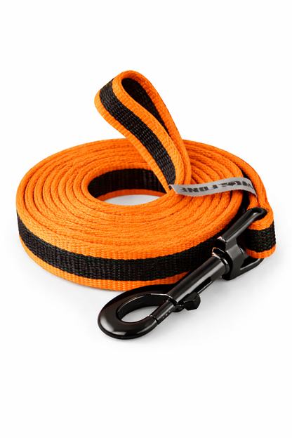 CORREA AVENTURDOG ADIESTRAMIENTO