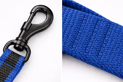 CORREA AVENTURDOG ADIESTRAMIENTO
