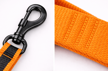 CORREA AVENTURDOG ADIESTRAMIENTO