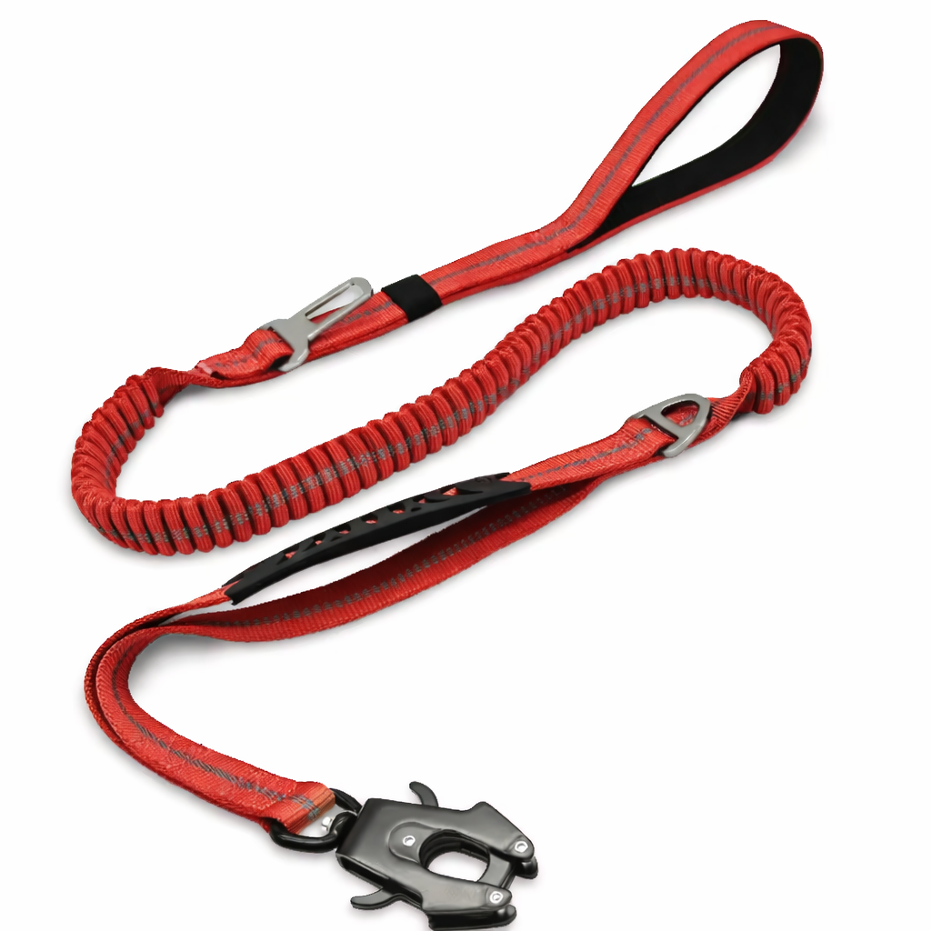 CORREA AVENTURDOG CONTROL FLEX