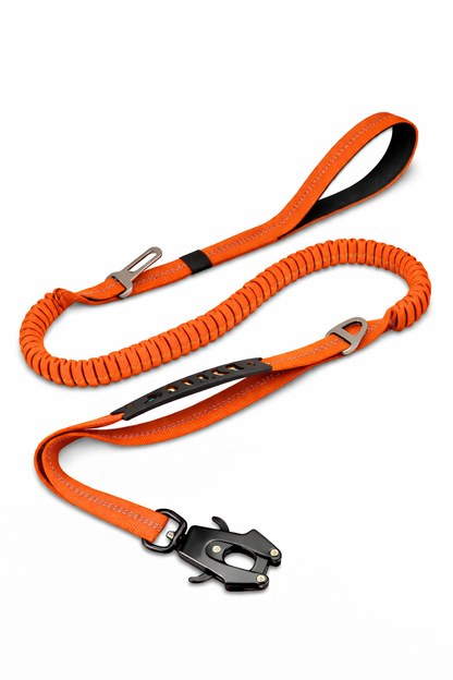 CORREA AVENTURDOG CONTROL FLEX