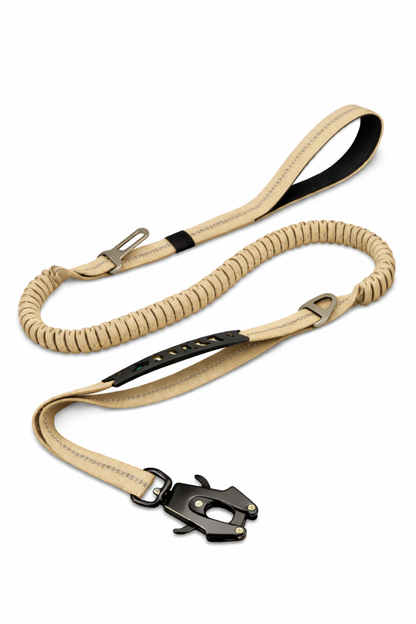 CORREA AVENTURDOG CONTROL FLEX