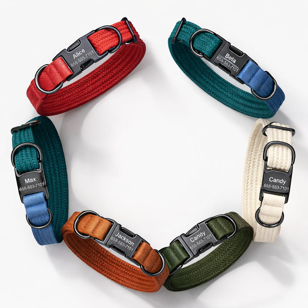 COLLAR &CORREA AVENTURDOG PERSONALIZABLE ST