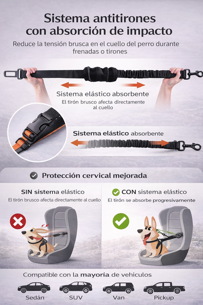 CORREA AVENTURDOG SAFE DRIVE FLEX