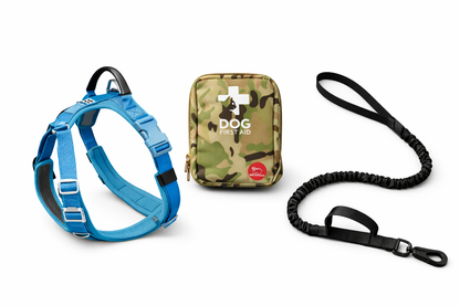 KIT AVENTURA AVENTURDOG