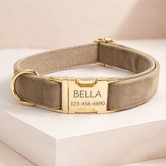 COLLAR AVENTURDOG PERSONALIZABLE ELEGANCE