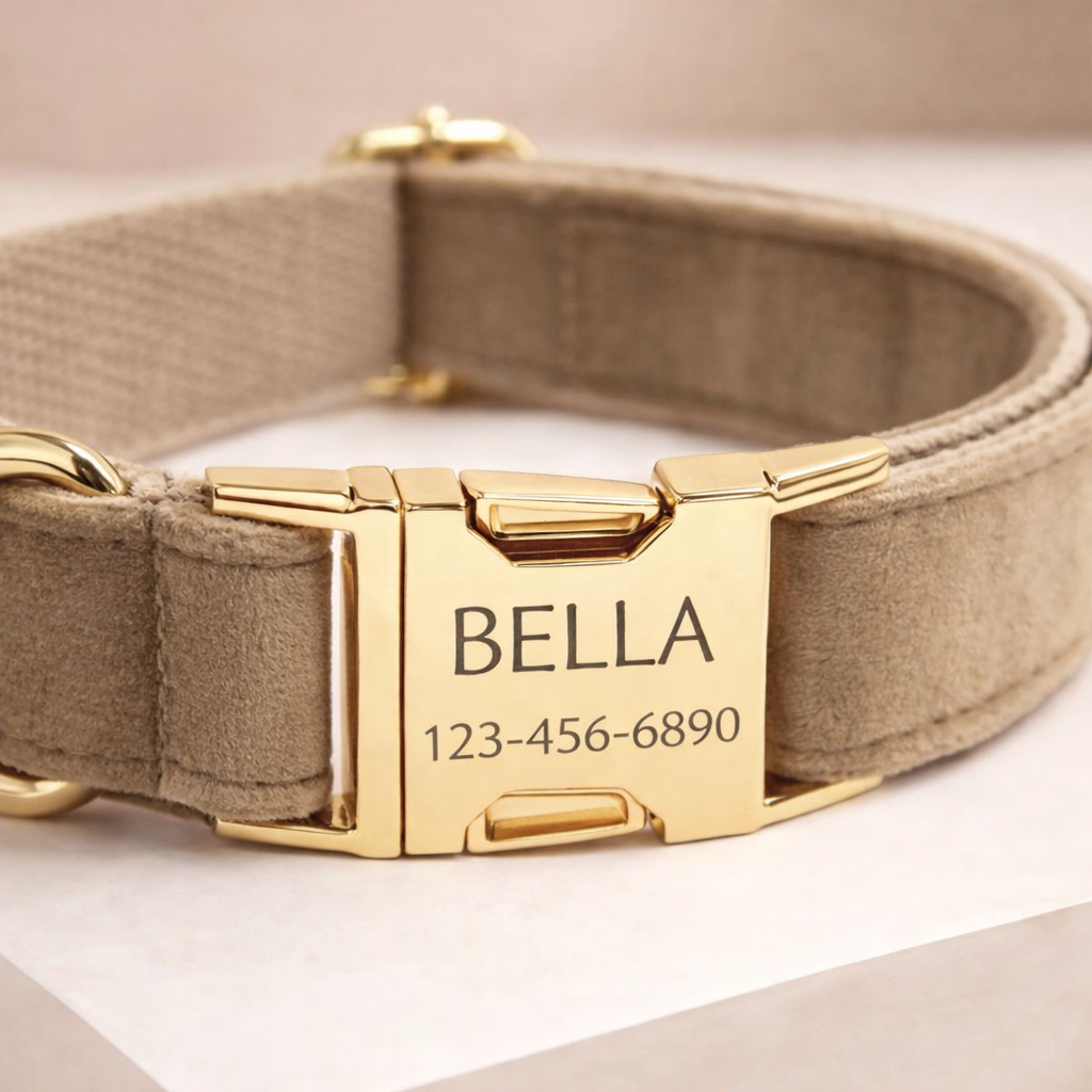 COLLAR AVENTURDOG PERSONALIZABLE ELEGANCE