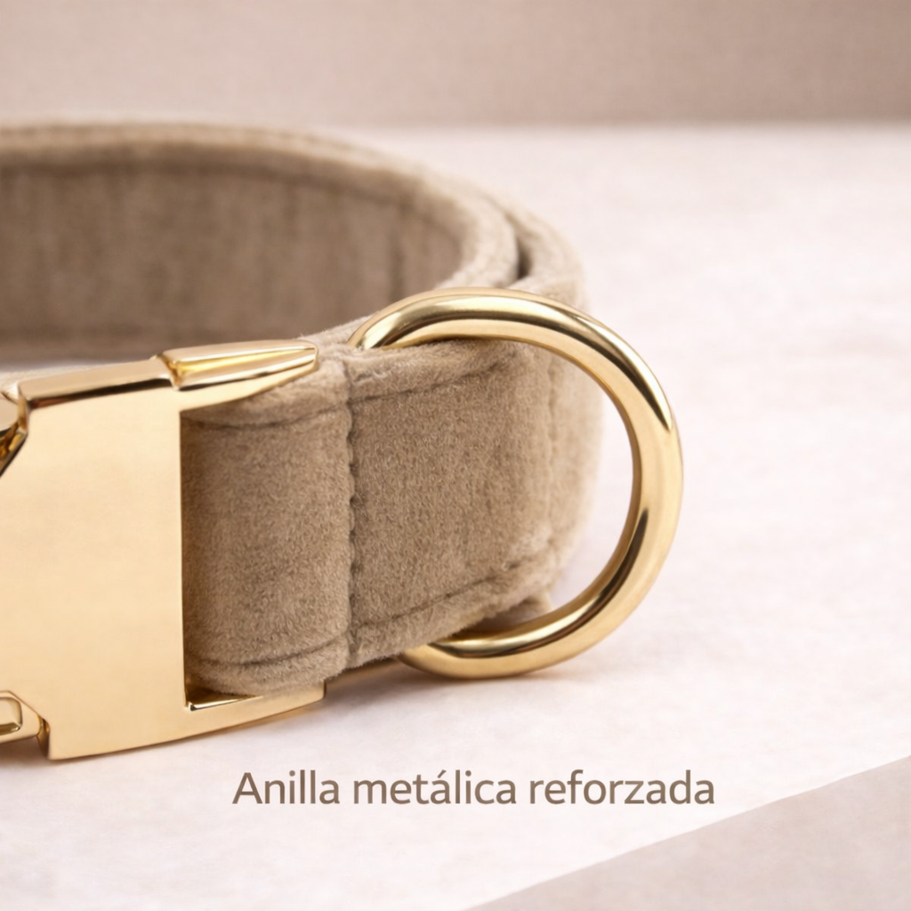 COLLAR AVENTURDOG PERSONALIZABLE ELEGANCE