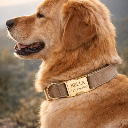 COLLAR AVENTURDOG PERSONALIZABLE ELEGANCE