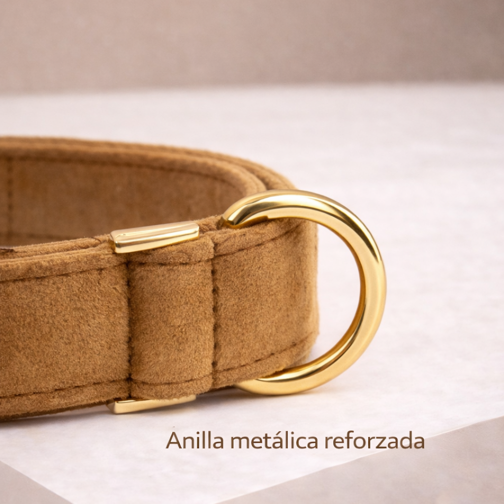 COLLAR AVENTURDOG PERSONALIZABLE ELEGANCE