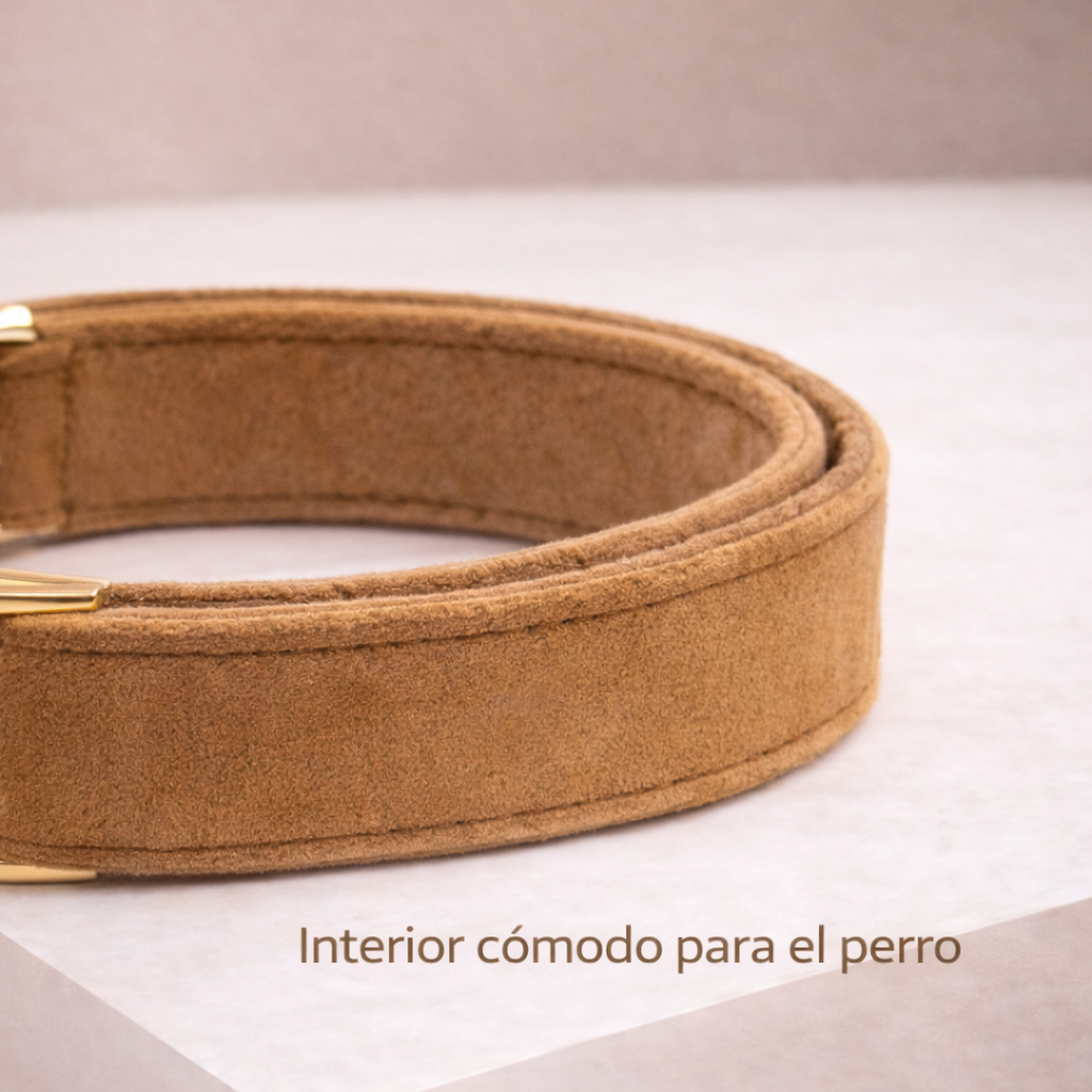 COLLAR AVENTURDOG PERSONALIZABLE ELEGANCE