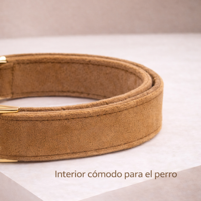COLLAR AVENTURDOG PERSONALIZABLE ELEGANCE