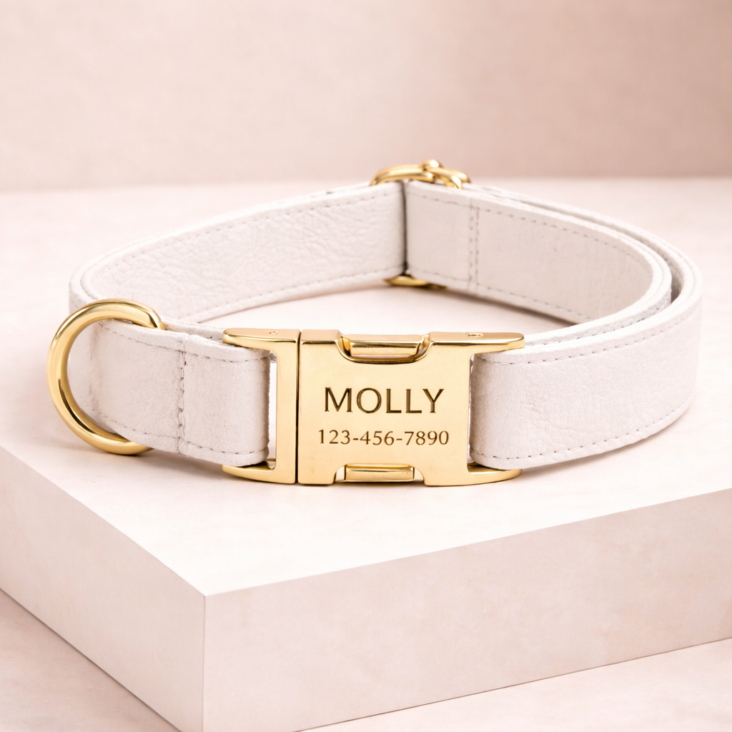 COLLAR AVENTURDOG PERSONALIZABLE ELEGANCE