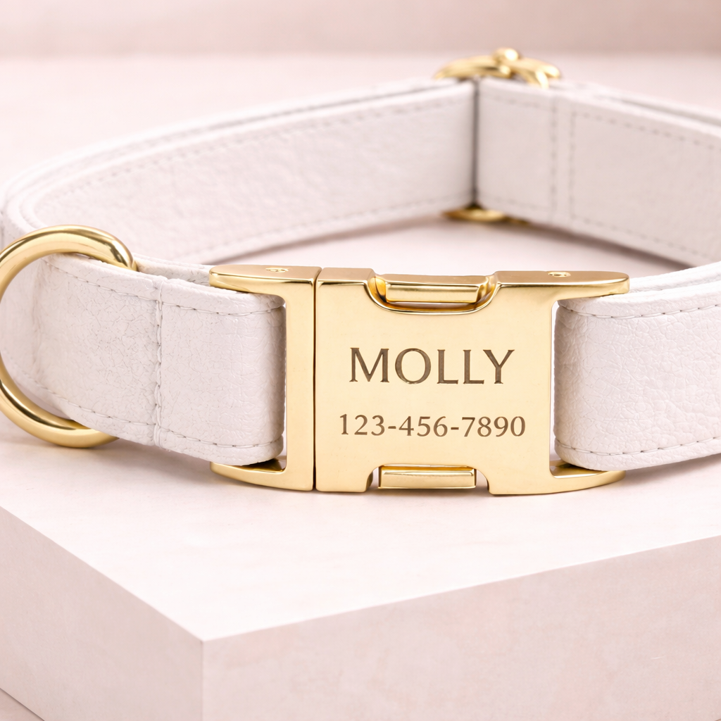 COLLAR AVENTURDOG PERSONALIZABLE ELEGANCE