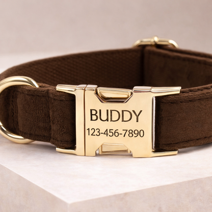 COLLAR AVENTURDOG PERSONALIZABLE ELEGANCE