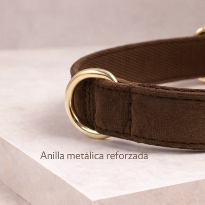 COLLAR AVENTURDOG PERSONALIZABLE ELEGANCE