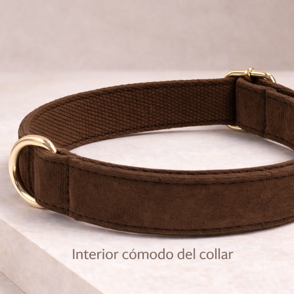 COLLAR AVENTURDOG PERSONALIZABLE ELEGANCE