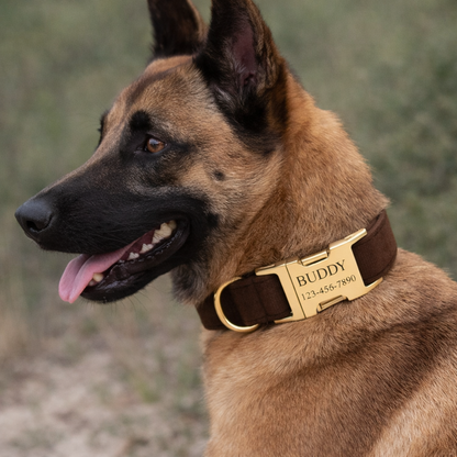 COLLAR AVENTURDOG PERSONALIZABLE ELEGANCE