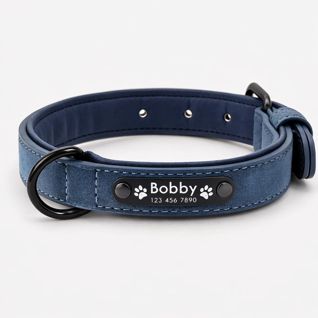 COLLAR AVENTURDOG PERSONALIZABLE TERRA