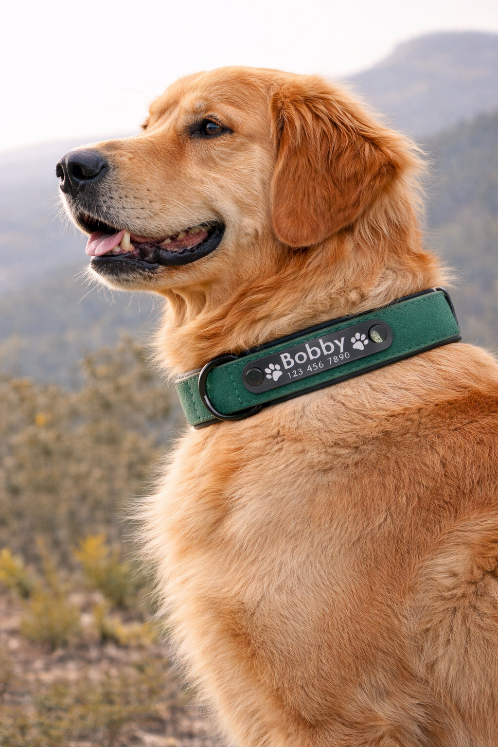 COLLAR AVENTURDOG PERSONALIZABLE TERRA