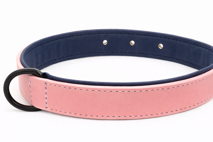 COLLAR AVENTURDOG PERSONALIZABLE TERRA