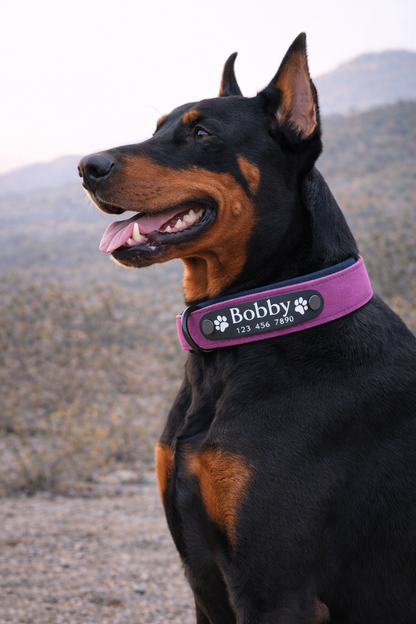 COLLAR AVENTURDOG PERSONALIZABLE TERRA