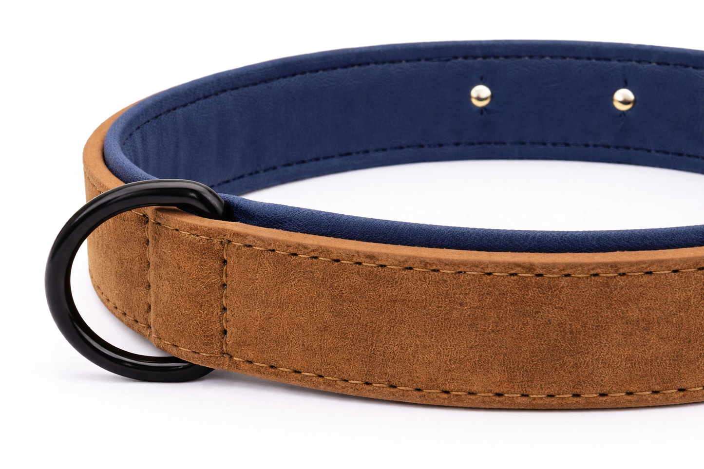 COLLAR AVENTURDOG PERSONALIZABLE TERRA