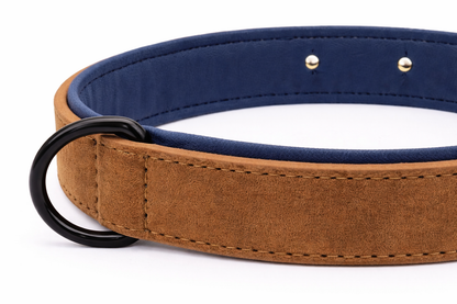 COLLAR AVENTURDOG PERSONALIZABLE TERRA