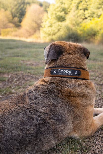 COLLAR AVENTURDOG PERSONALIZABLE TERRA