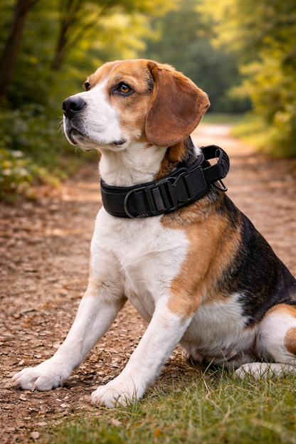 COLLAR AVENTURDOG TRAIL GRIP TACTICAL