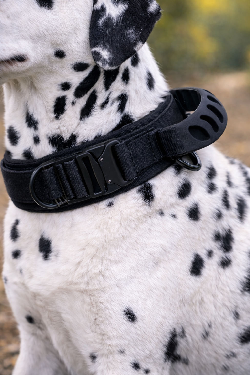 COLLAR AVENTURDOG TRAIL GRIP TACTICAL