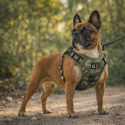 ARNÉS AVENTURDOG TRAIL CONTROL PRO Ranger Green