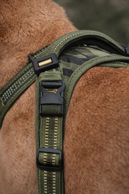 ARNÉS AVENTURDOG TRAIL CONTROL PRO Ranger Green