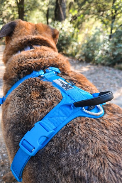ARNÉS AVENTURDOG WILD CANE