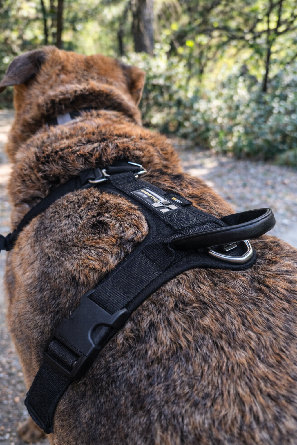 ARNÉS AVENTURDOG WILD CANE