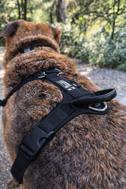 ARNÉS AVENTURDOG WILD CANE
